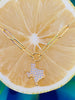 CZ Texas Pendant with Paper Clip Adjustable Chain